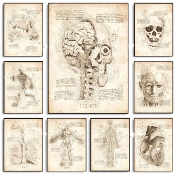 Vintage Inimese Anatoomia Organid Da Vinci Inspireeritud Visandid Plakatid Lõuendile Maali ja Pildid Seina Art Pilte Tuba Home Decor