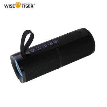 TARK TIIGER FM-Raadio Kõlar Bluetooth Kõlar BT5.3 Kaasaskantav Bluetooth Kõlar koos RGB Valgus USB-TF-Kaardi Pesa 10W TWS Dual Paari
